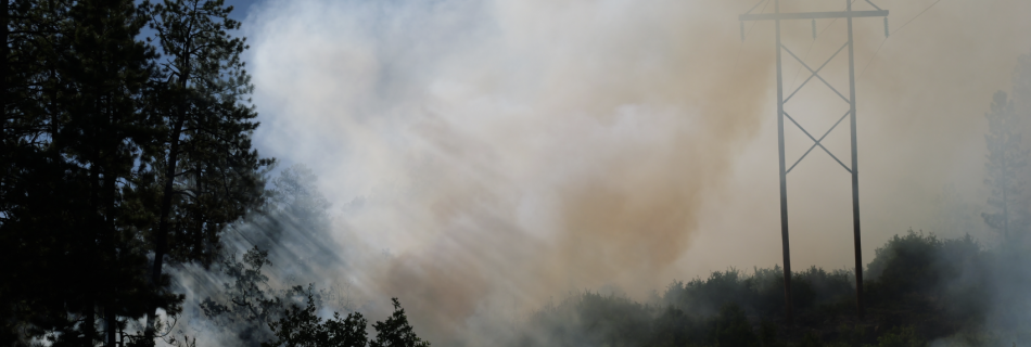 As a key piece of infrastructure, mangers focused on protecting the TriState Transmission Lines through low-intensity fire in order to prevent future high-intensity fire in the area. Photo credit: Lorena Williams, San Juan NF.